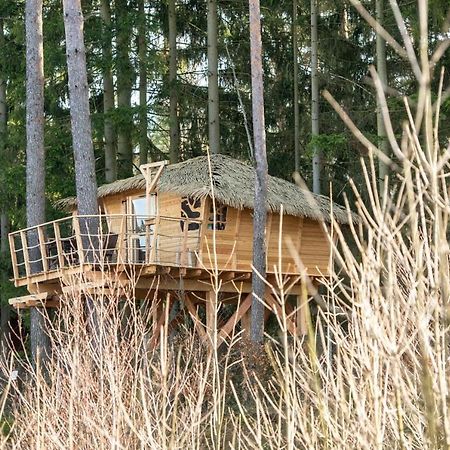 Отель Treehouse U Rybnika Osecna Экстерьер фото