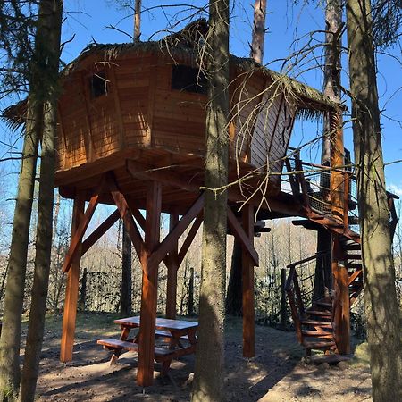 Отель Treehouse U Rybnika Osecna Экстерьер фото
