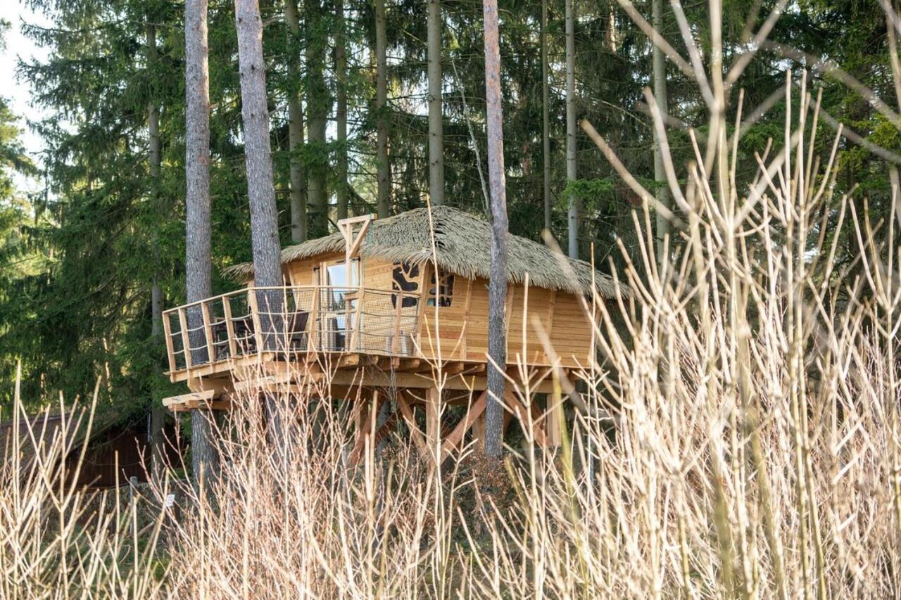 Отель Treehouse U Rybnika Osecna Экстерьер фото